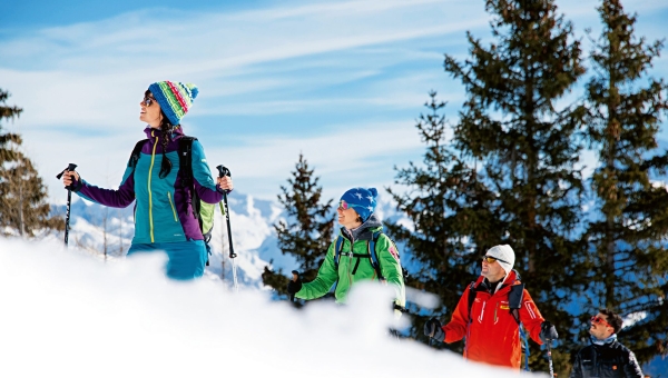 Excursions hivernales en nature : les bonnes pratiques pour préserver la tranquilité de la faune sauvage